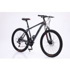 Rush B129-GB 29" MTB kolo s kotoučovou brzdou teleskopická šedo-černá