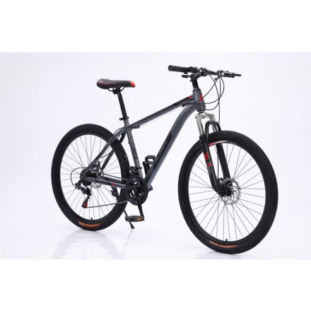 Rush B129-GB 29" MTB kolo s kotoučovou brzdou teleskopická šedo-černá