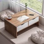 Konferenční stolek 100×40×40 cm hnědý, se 2 zásuvkami FUR1950-2