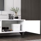 TV stolek, multifunkční mediální stolek 120x30x40 cm bílý RT10